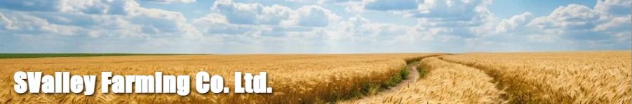 SValley Farming Co. Ltd. - Farming & Agricultural Services in Spring Coulee, Alberta